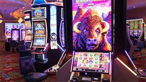 56bet